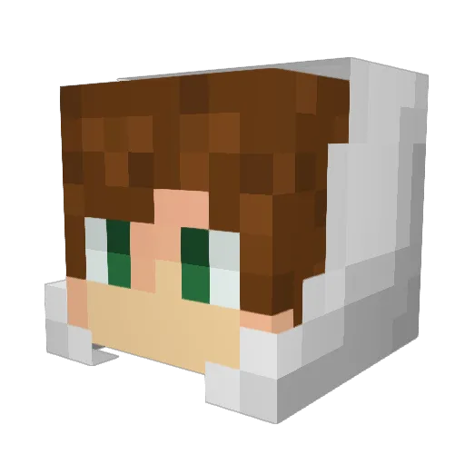 Juan8904 Minecraft avatar head, 3D render