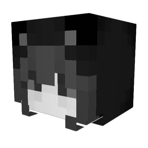 JuanMeta433 Minecraft avatar head, 3D render