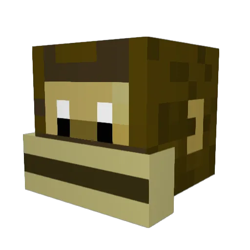 Juan_Builder Minecraft avatar head, 3D render