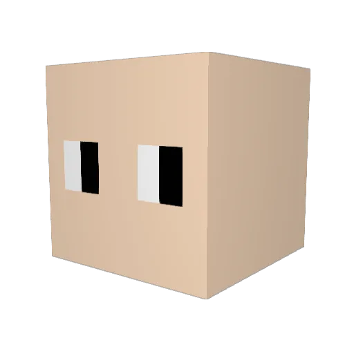 Juan_Pancho_Man Minecraft avatar head, 3D render