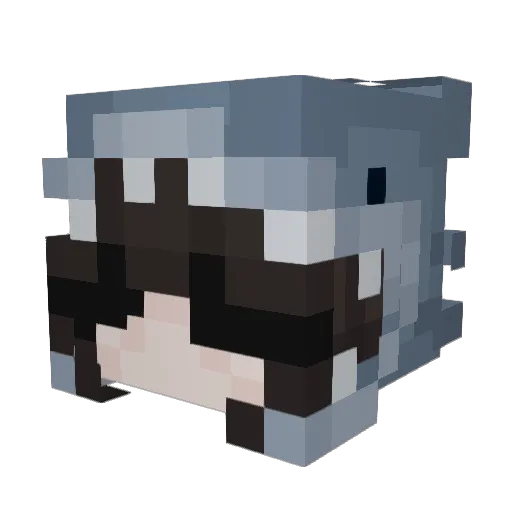 Juana____ Minecraft avatar head, 3D render