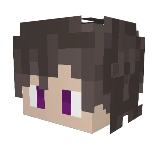 Juani79911 Minecraft avatar head, 3D render