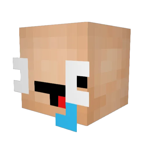 JubJub13 Minecraft avatar head, 3D render