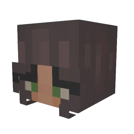 JubbleBean Minecraft avatar head, 3D render