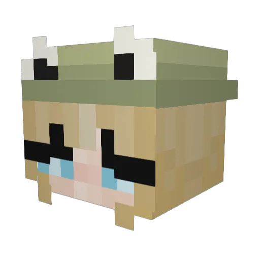 Jubblejem Minecraft avatar head, 3D render