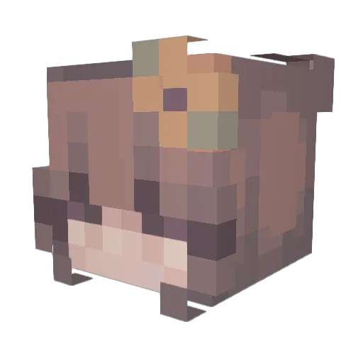 Jubedus Minecraft avatar head, 3D render