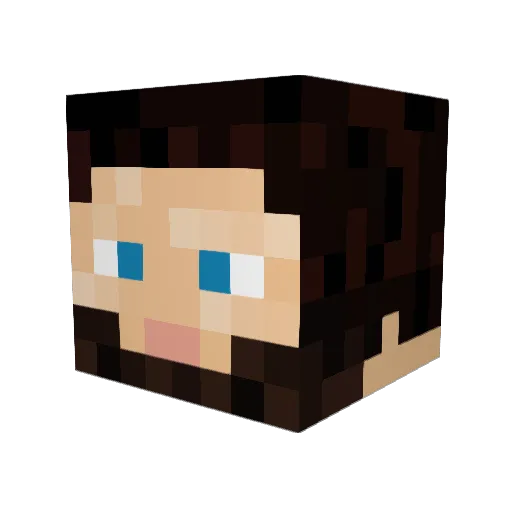 Jubillee222 Minecraft avatar head, 3D render