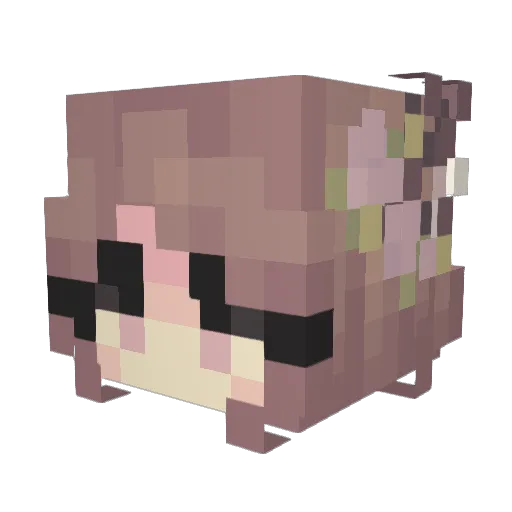 Jucaja Minecraft avatar head, 3D render