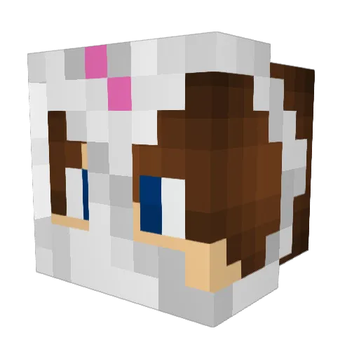 Jucenmeister Minecraft avatar head, 3D render