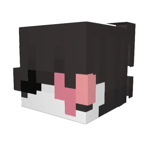 Jucheng778 Minecraft avatar head, 3D render