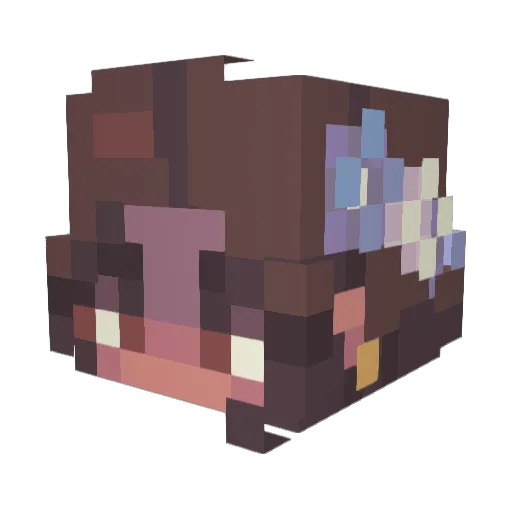 Juchlen Minecraft avatar head, 3D render