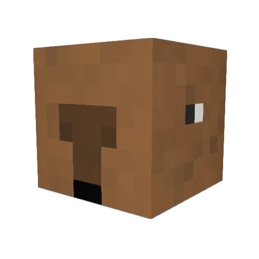 JudeFoldsAllOpps Minecraft avatar head, 3D render