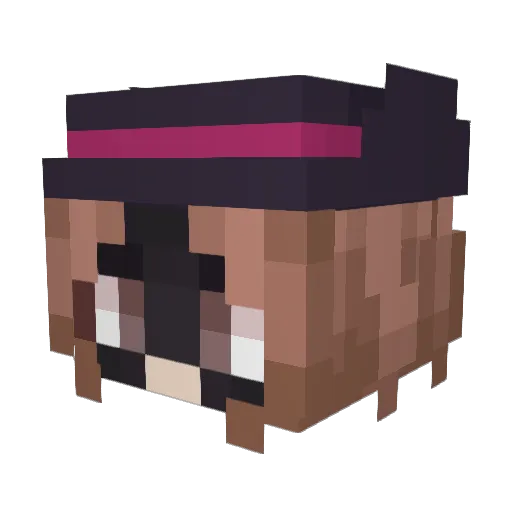 Jude_49 Minecraft avatar head, 3D render