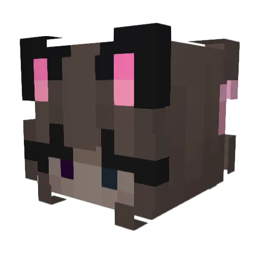 Judethedudebr Minecraft avatar head, 3D render