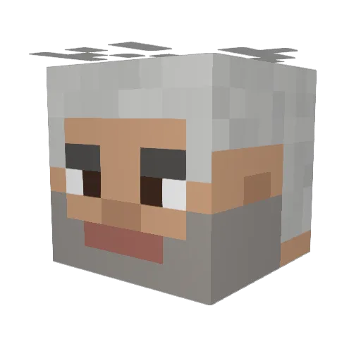 Judge1453 Minecraft avatar head, 3D render