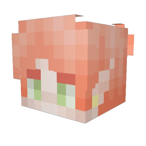 JudgeFruity Minecraft avatar head, 3D render
