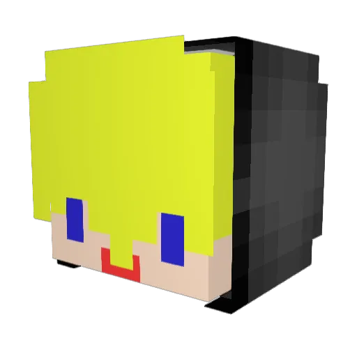JudgeSelcuk Minecraft avatar head, 3D render