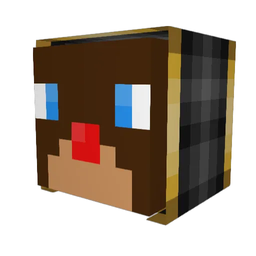 JudgedAcorn8016 Minecraft avatar head, 3D render
