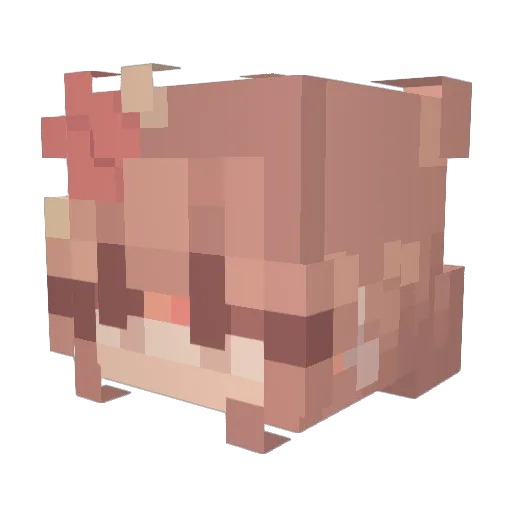 JudiTrudi Minecraft avatar head, 3D render
