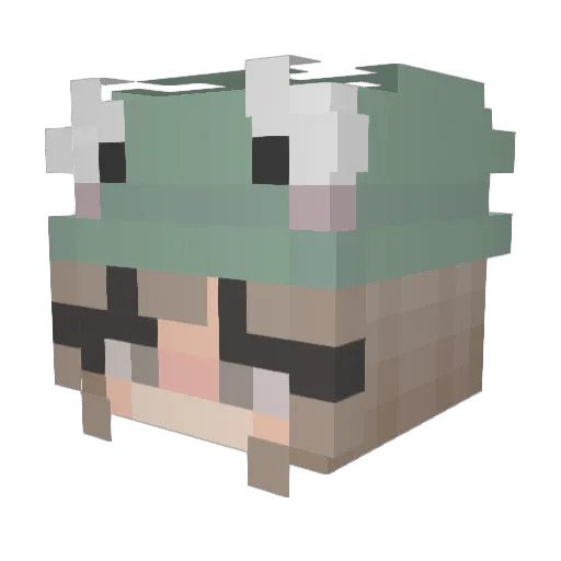 JudithDaFrog Minecraft avatar head, 3D render