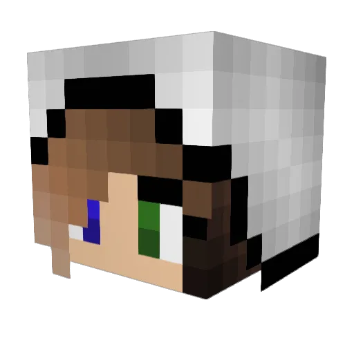 Judithhhhh Minecraft avatar head, 3D render