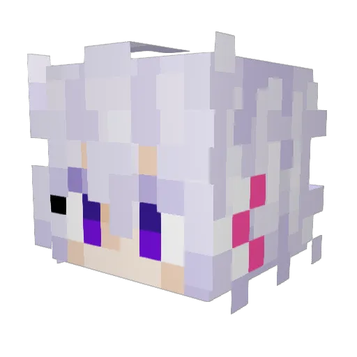 Judogogo Minecraft avatar head, 3D render