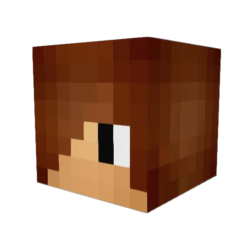 Judson120 Minecraft avatar head, 3D render