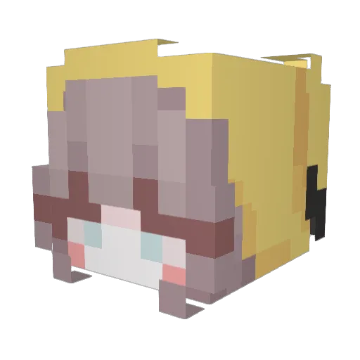 Judy0220 Minecraft avatar head, 3D render