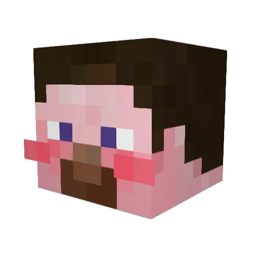 Judy8823 Minecraft avatar head, 3D render