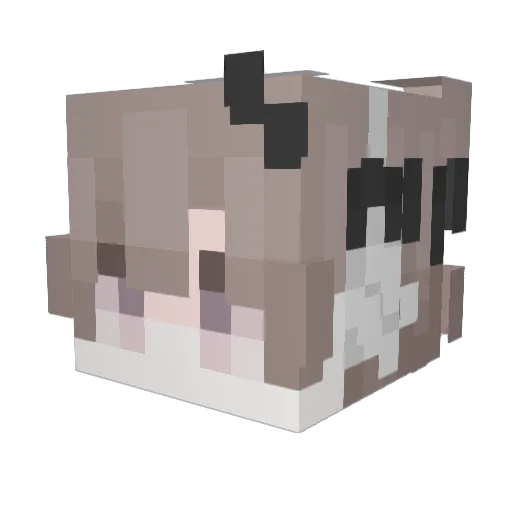Judy89117 Minecraft avatar head, 3D render