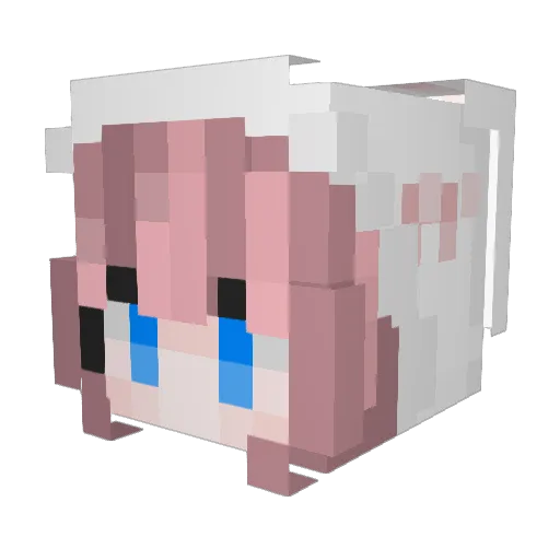 Judyabbot Minecraft avatar head, 3D render