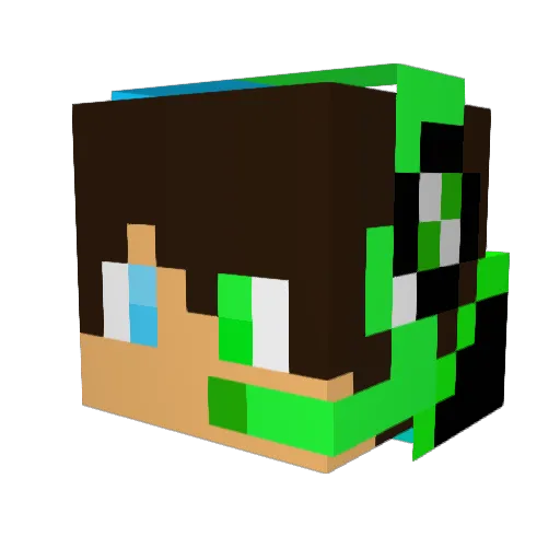 JugendforumWHO Minecraft avatar head, 3D render