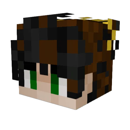 Juggling_Geese Minecraft avatar head, 3D render