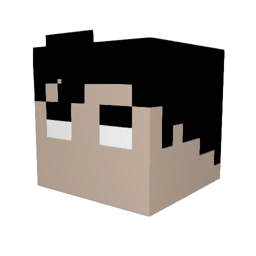 Juglar Minecraft avatar head, 3D render