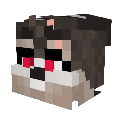 Jugler24 Minecraft avatar head, 3D render