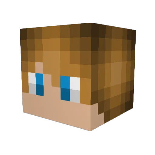 Juhanhi Minecraft avatar head, 3D render