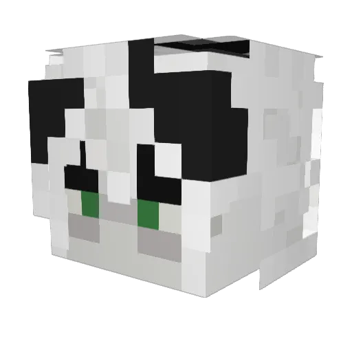 Juice135 Minecraft avatar head, 3D render