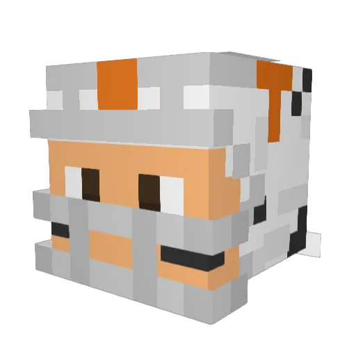 JuiceTea Minecraft avatar head, 3D render