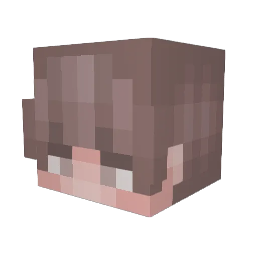 JuiceThere Minecraft avatar head, 3D render