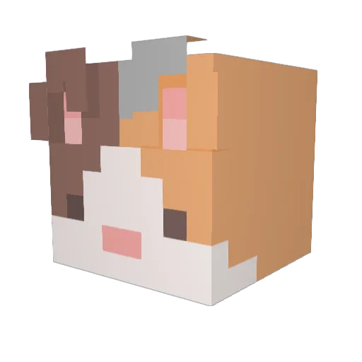 JuiceTinz Minecraft avatar head, 3D render