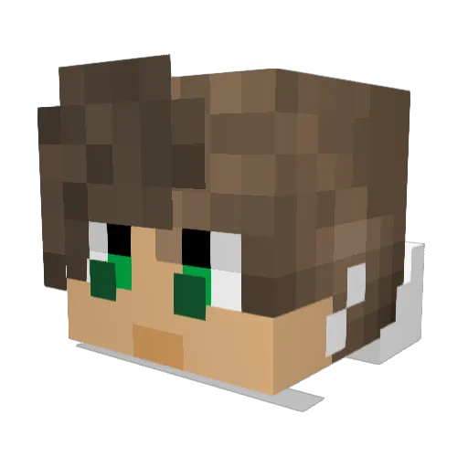 Juice_Broken Minecraft avatar head, 3D render
