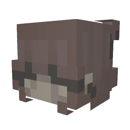 Juiceayla Minecraft avatar head, 3D render