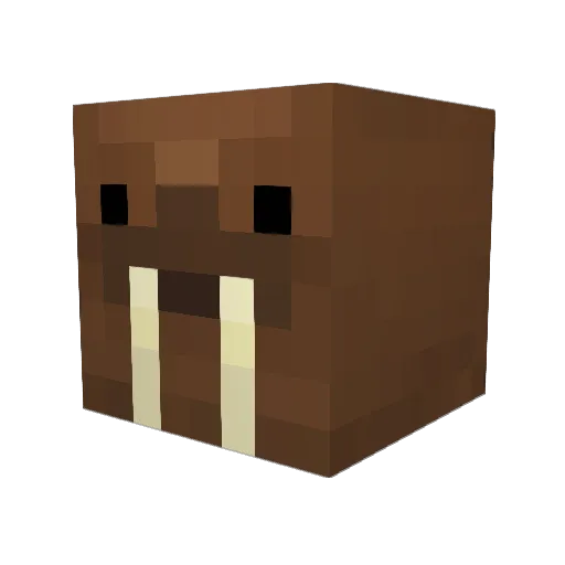 Juicecarton8301 Minecraft avatar head, 3D render