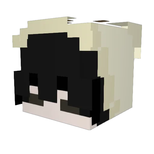 Juiciestc00ter Minecraft avatar head, 3D render