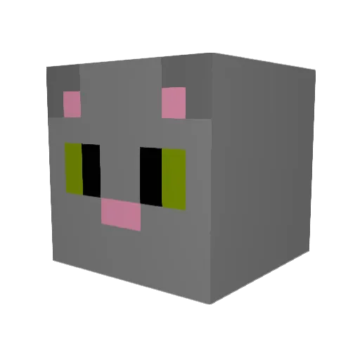 JuicyJuice66 Minecraft avatar head, 3D render