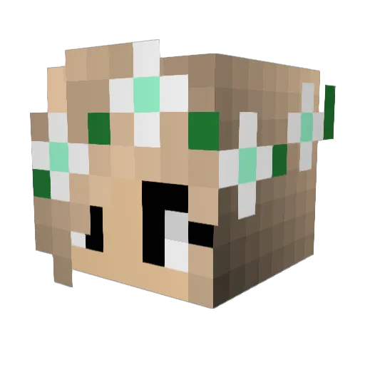 Juicyjupiter5 Minecraft avatar head, 3D render