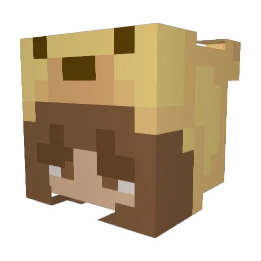 JuizyBurger Minecraft avatar head, 3D render