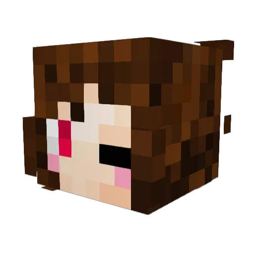 Juju0508 Minecraft avatar head, 3D render