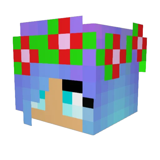 Juju5511 Minecraft avatar head, 3D render