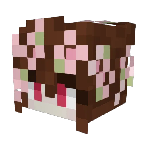 Juju_Kookie Minecraft avatar head, 3D render